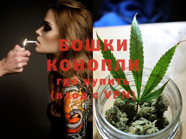 дурь Вяземский