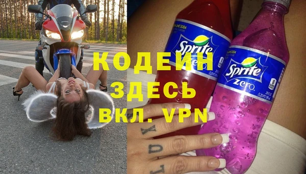 дурь Вяземский