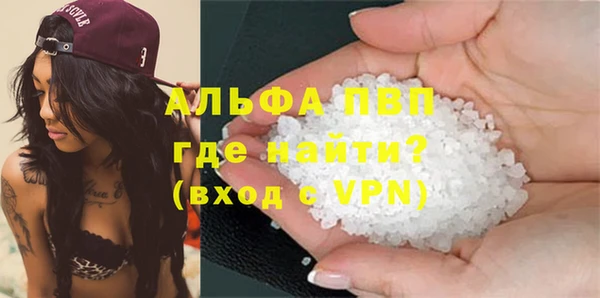 стафф Вязьма