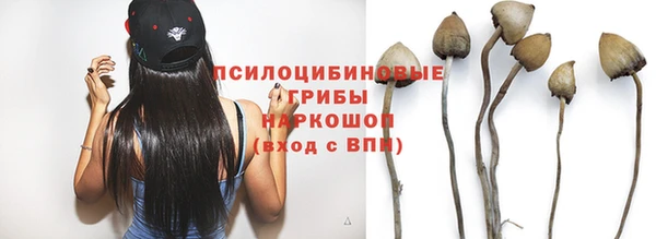 стафф Вязьма