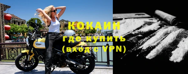 стафф Вязьма