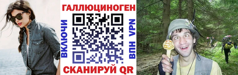 Галлюциногенные грибы Psilocybe  Малоархангельск 